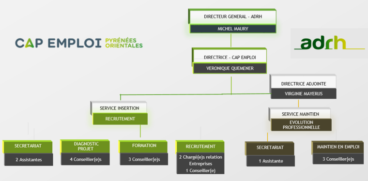 Organigramme des services du cap emploi 66